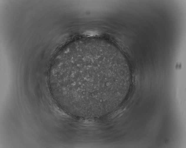 X0000113111393200909111104