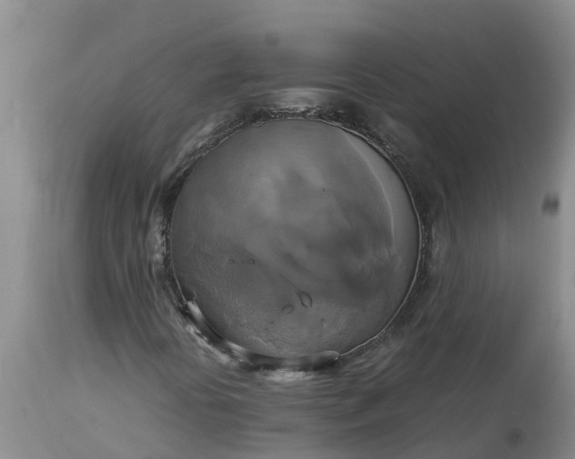 X0000113111394200909111104