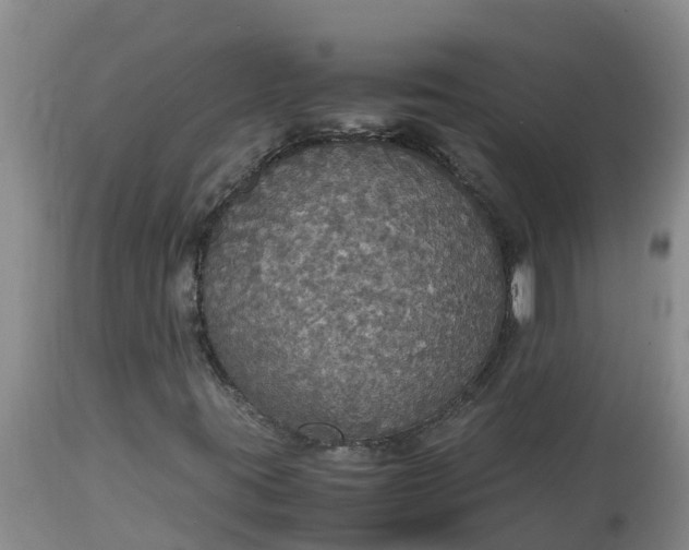 X0000113111395200909111104