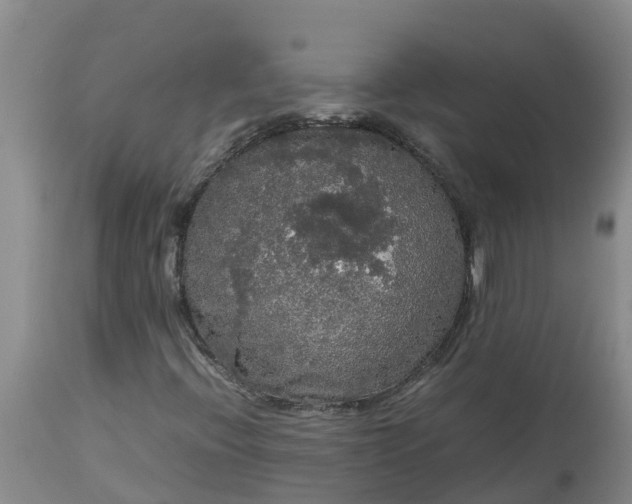 X0000113111396200909111104