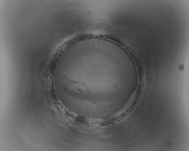 X0000113111398200909111104