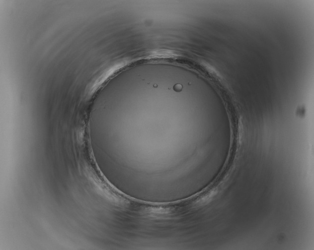 X0000113111401200909111104