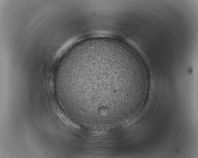 X0000113111403200909111105