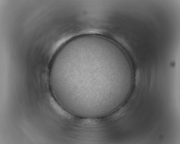 X0000113111404200909111105