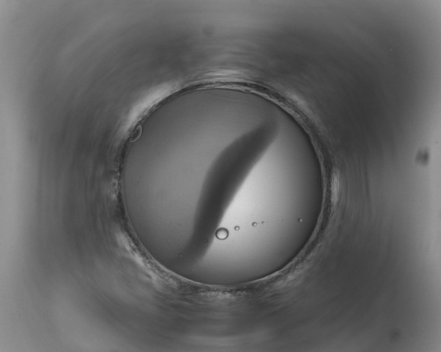 X0000113111405200909111105