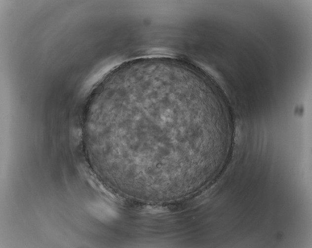 X0000113111407200909111105