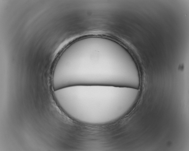 X0000113111412200909111105