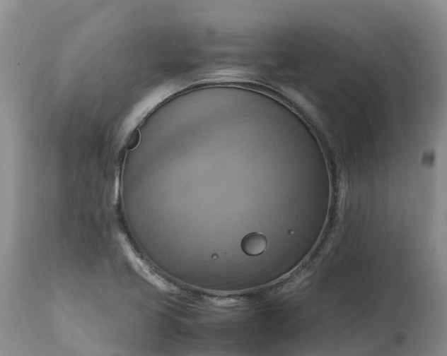 X0000113111413200909111105
