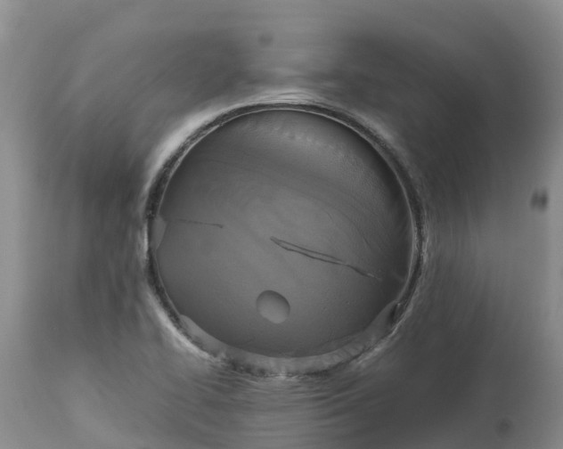 X0000113111414200909111105