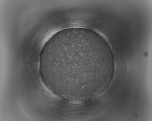 X0000113111415200909111105