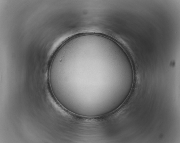 X0000113111416200909111105