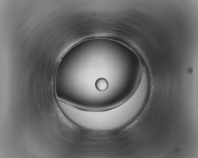 X0000113111417200909111105