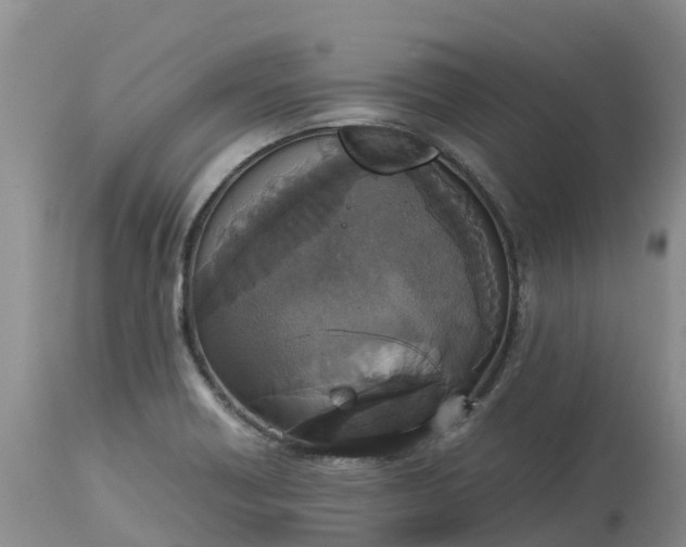 X0000113111418200909111105
