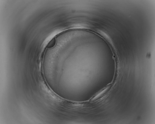 X0000113111419200909111105