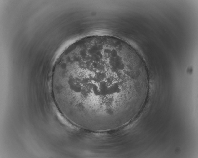 X0000113111421200909111105