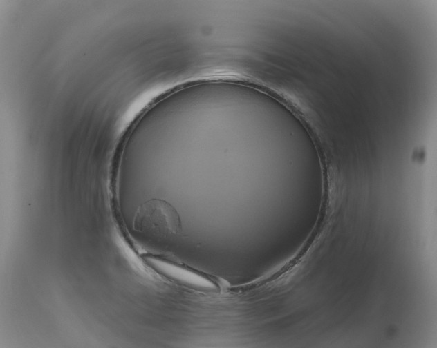 X0000113111422200909111105