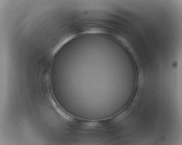 X0000113111425200909111105