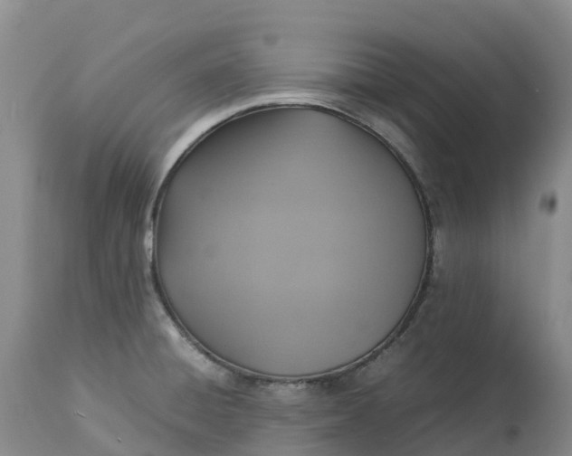 X0000113111428200909111105