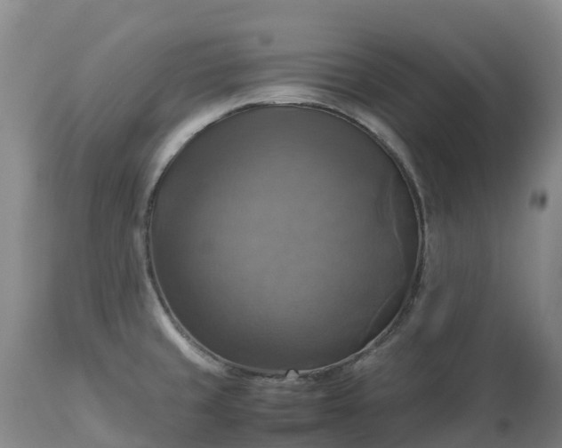 X0000113111429200909111105
