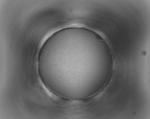 X0000113111430200909111105
