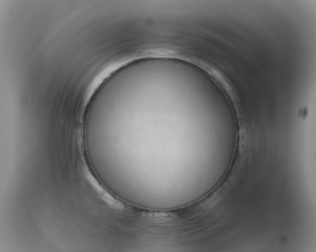 X0000113111432200909111105