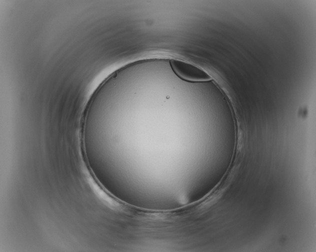 X0000113111438200909111105