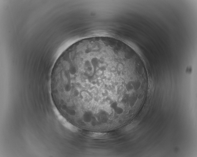 X0000113111439200909111105