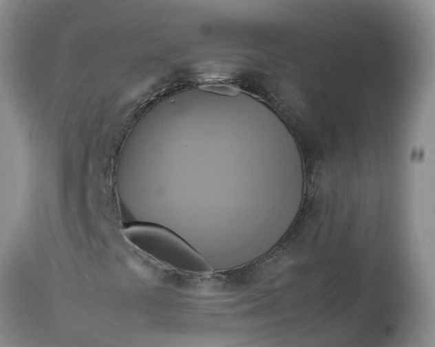 X0000113111441200909111104