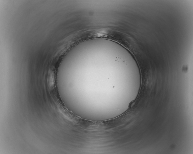 X0000113111442200909111104