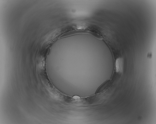 X0000113111443200909111104