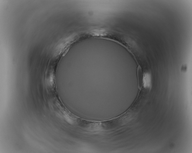X0000113111444200909111104