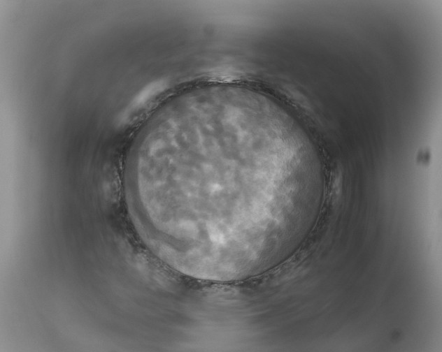 X0000113111446200909111104