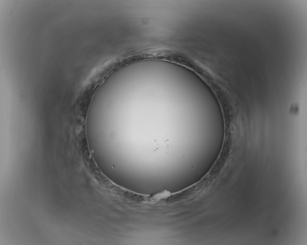 X0000113111447200909111104