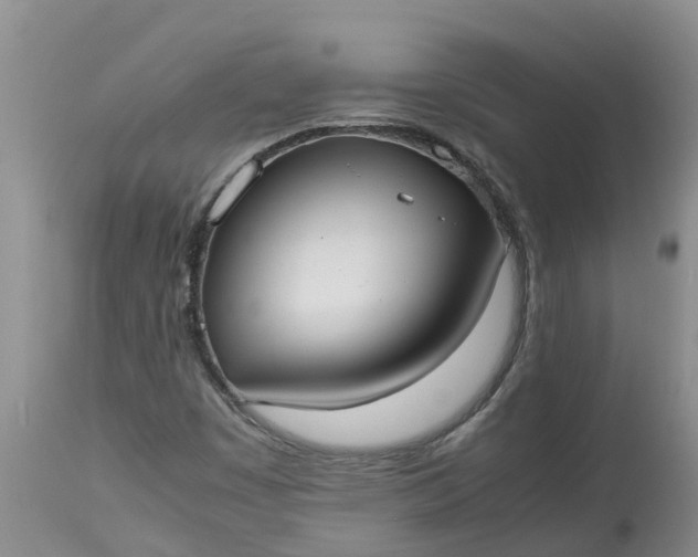 X0000113111449200909111104