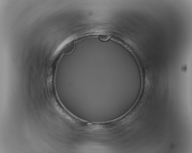 X0000113111450200909111104