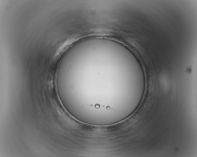 X0000113111451200909111104