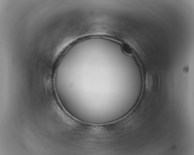 X0000113111452200909111104