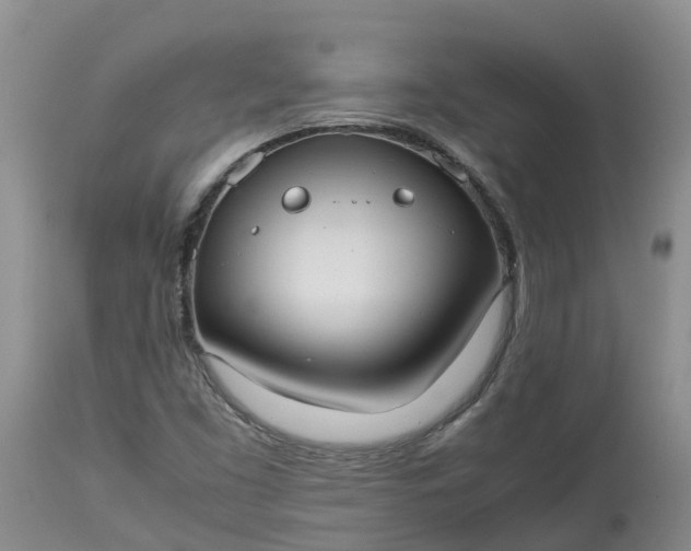 X0000113111453200909111104