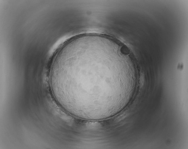 X0000113111454200909111104