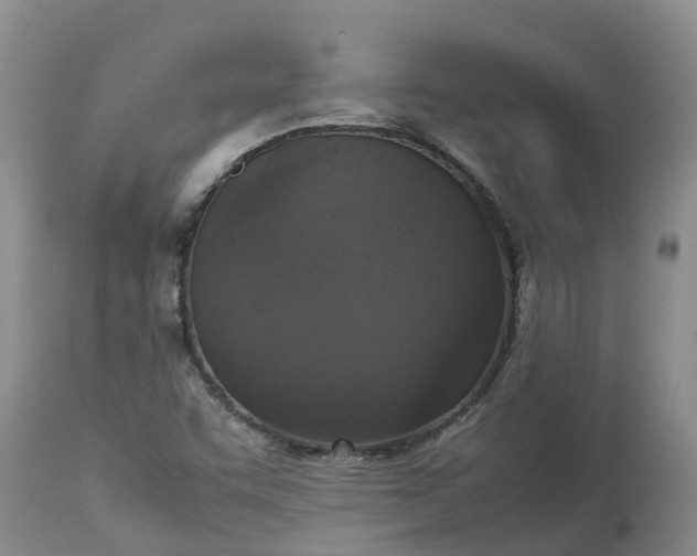 X0000113111455200909111104