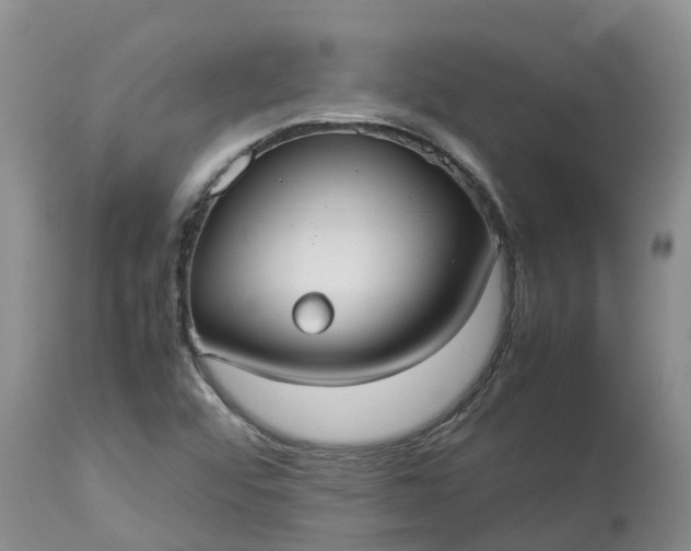 X0000113111456200909111104