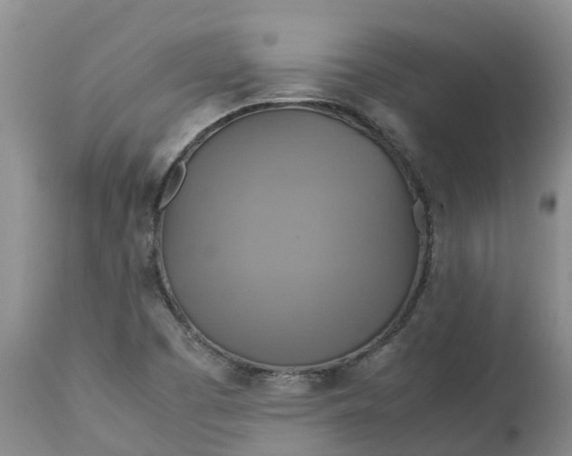 X0000113111457200909111104