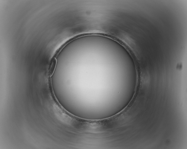 X0000113111460200909111104