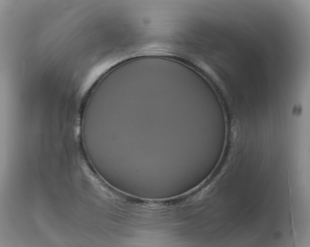 X0000113111461200909111104