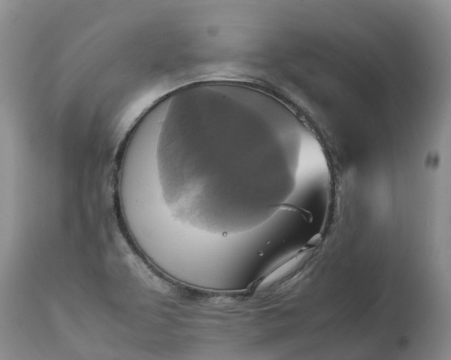 X0000113111463200909111104