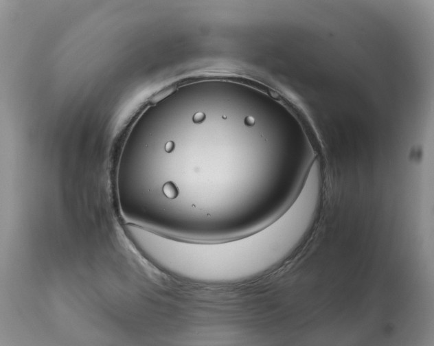 X0000113111464200909111104