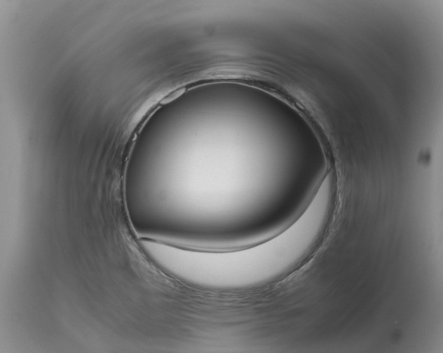 X0000113111465200909111104