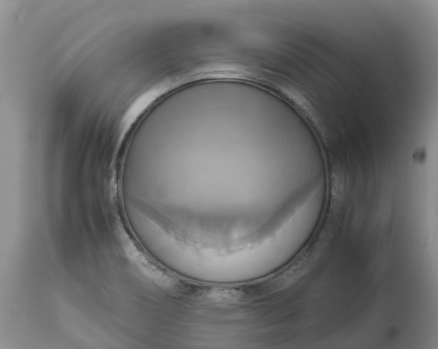 X0000113111466200909111104