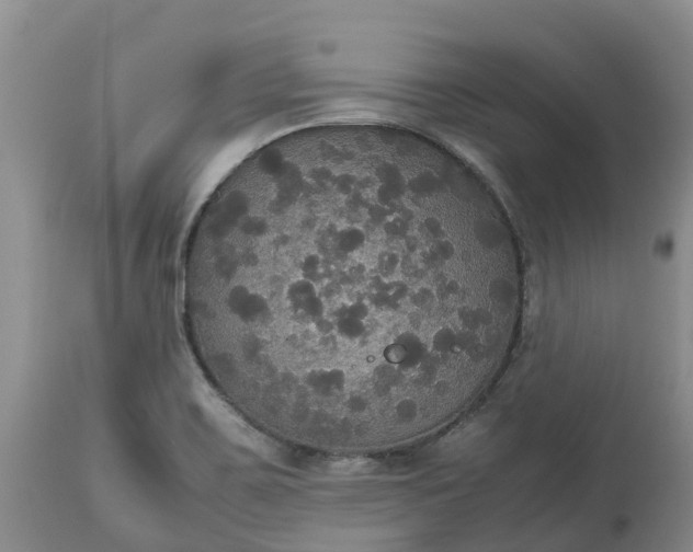 X0000113111467200909111104