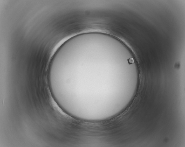 X0000113111468200909111104